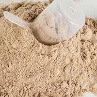 Rice Protein Concentrate Hi-Pro fat 65%